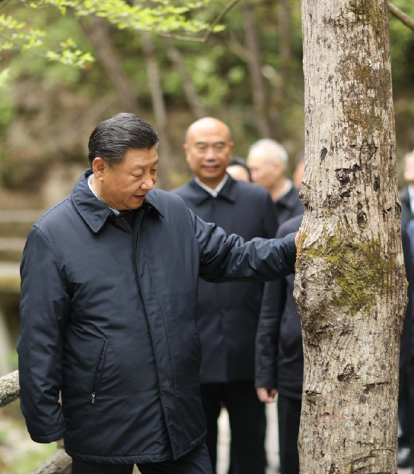 習(xí)近平最近三次地方考察，這個(gè)主題貫穿始終西寧防洪評(píng)價(jià)