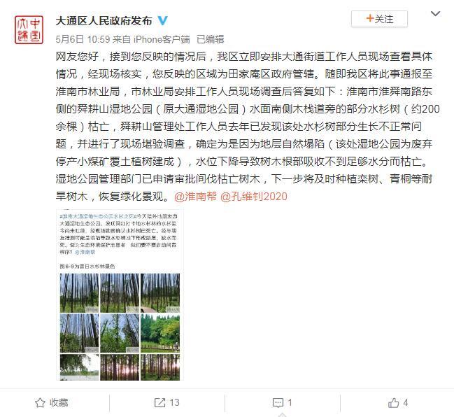 淮南回應“濕地公園水杉死亡”：地層塌陷缺水枯亡西寧污水處理公司